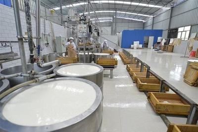 木匠轉行賣豆腐 匠心傳承，創(chuàng)業(yè)新篇