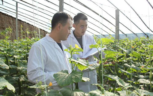 安丘百名檢測員一線把關，筑牢“舌尖安全”防護網