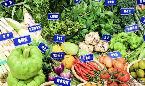 2024大理味道美食季 云品進京，食用農產品零售放異彩——開篇 舌尖上的云南風來襲